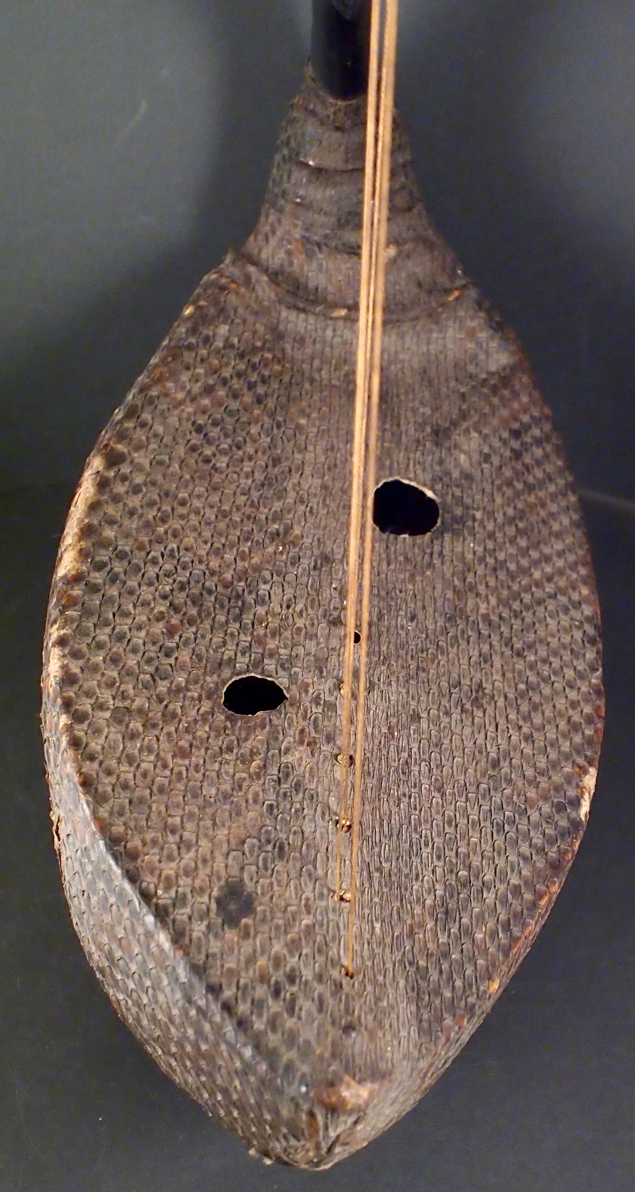 Ancient medieval harp in close-up Ancient medieval harp in close-up