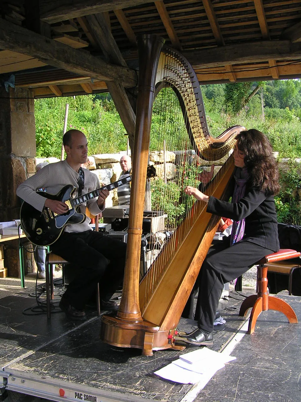 electric harp in concert electric harp in concert