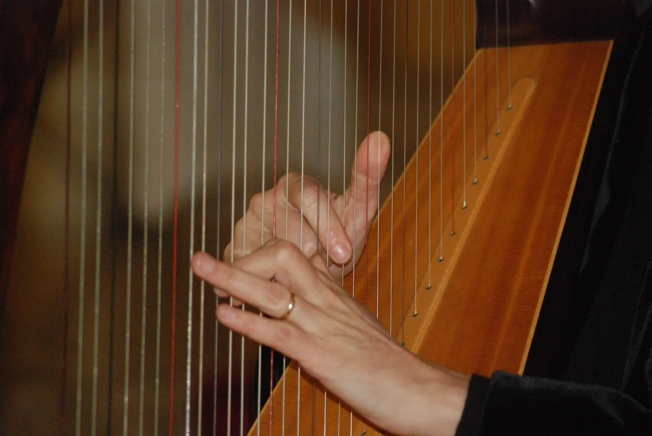 hands on harp strings hands on harp strings