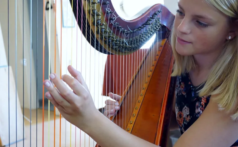 Celtic harp strings in detail Celtic harp strings in detail