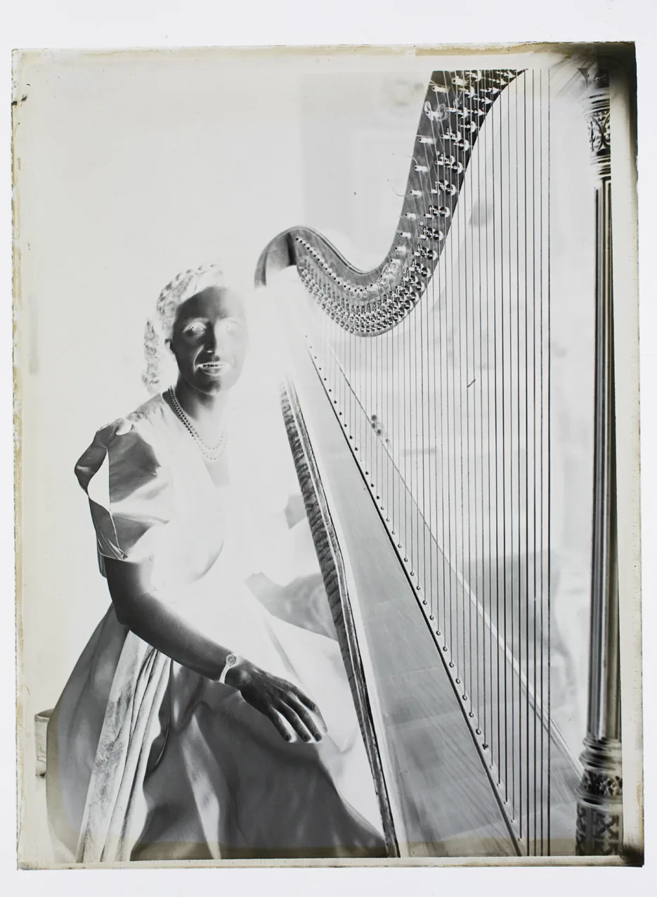 harpist with large concert harp harpist with large concert harp