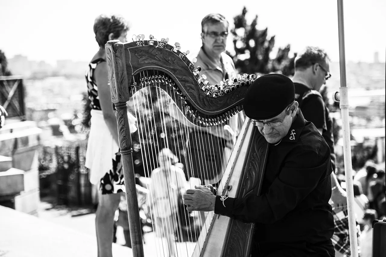 Musician adjusting a traditional harp Musician adjusting a traditional harp
