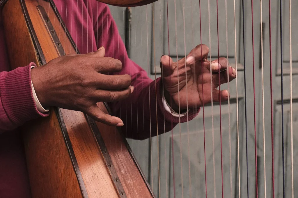 Jouer de la harpe à l'âge adulte : est-ce trop tard ?