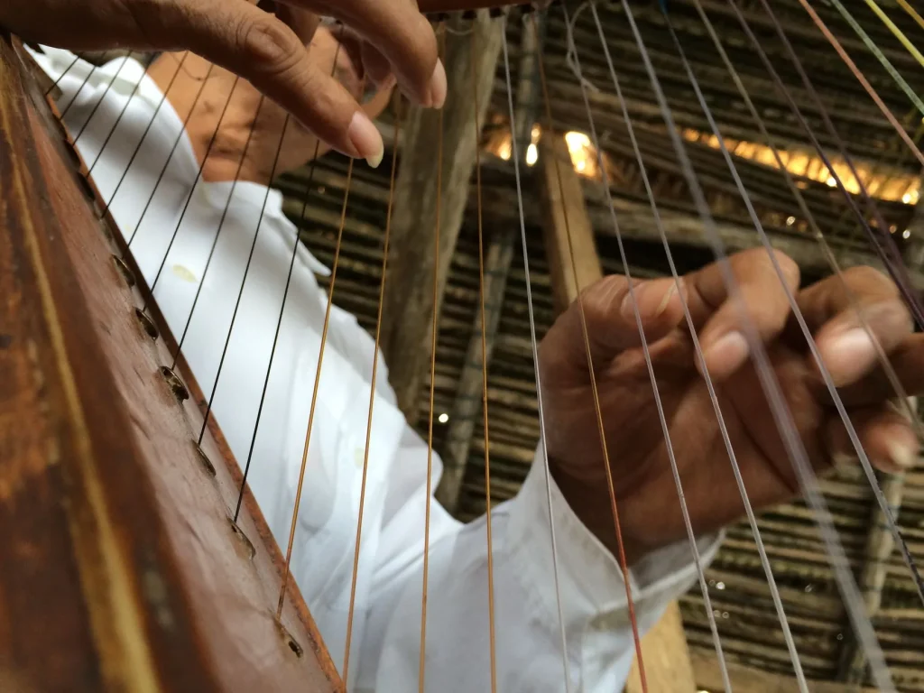 Harpe de concert : caractéristiques et prix