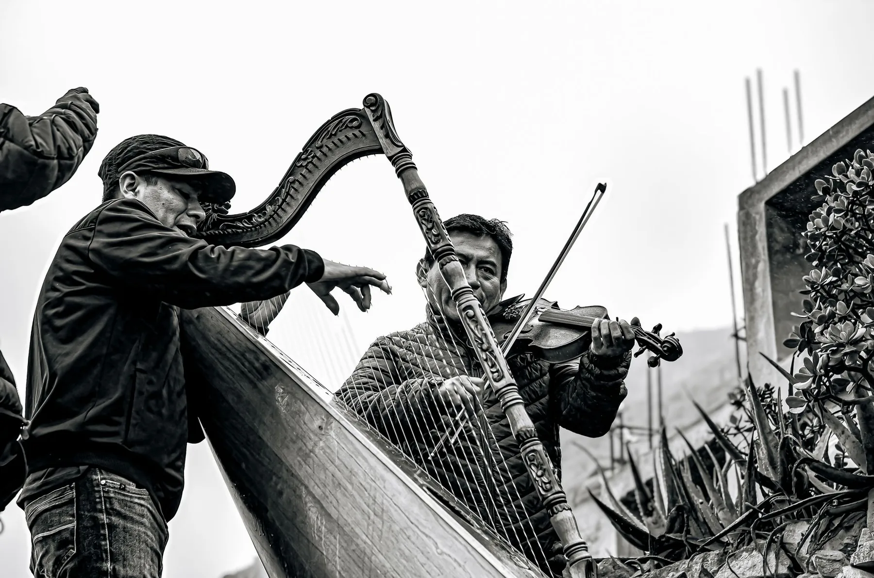 harpist and violinist in concert harpist and violinist in concert