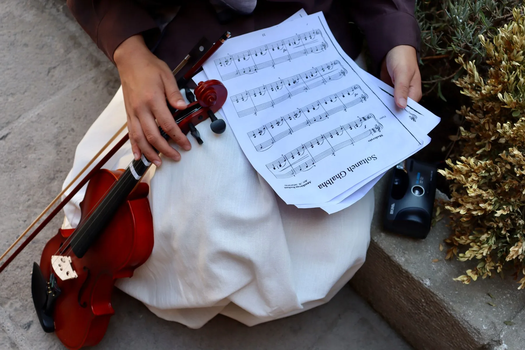Musician reading sheet music Musician reading sheet music