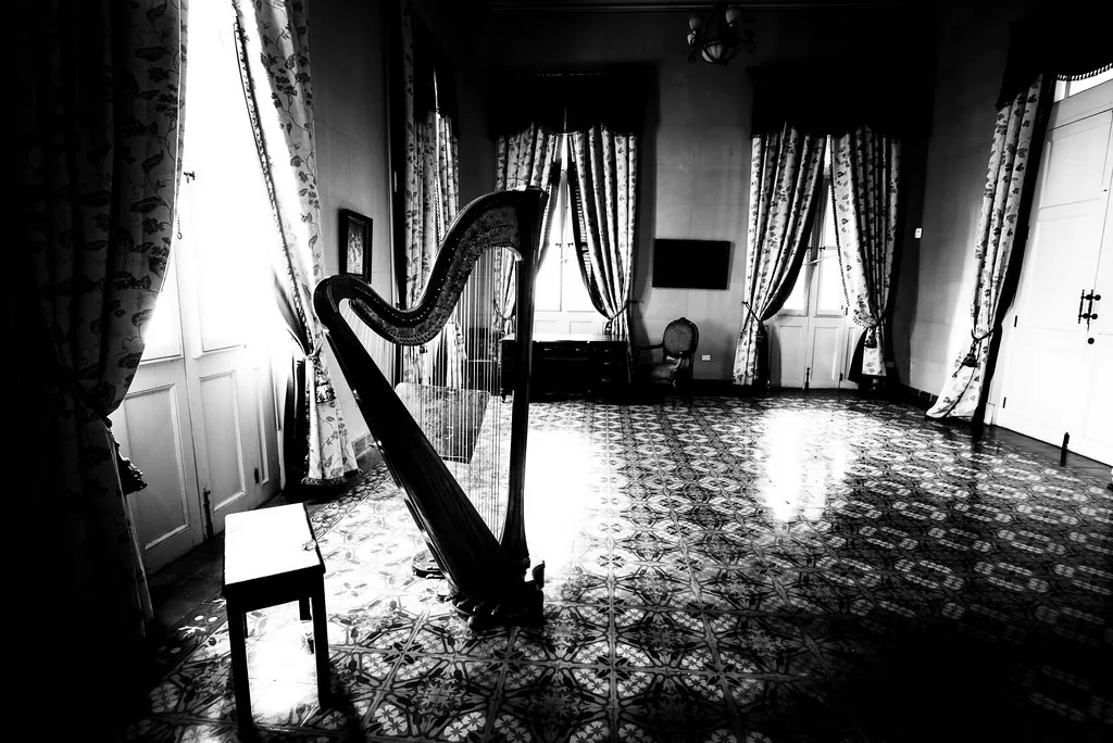 Ancient harp in a living room
