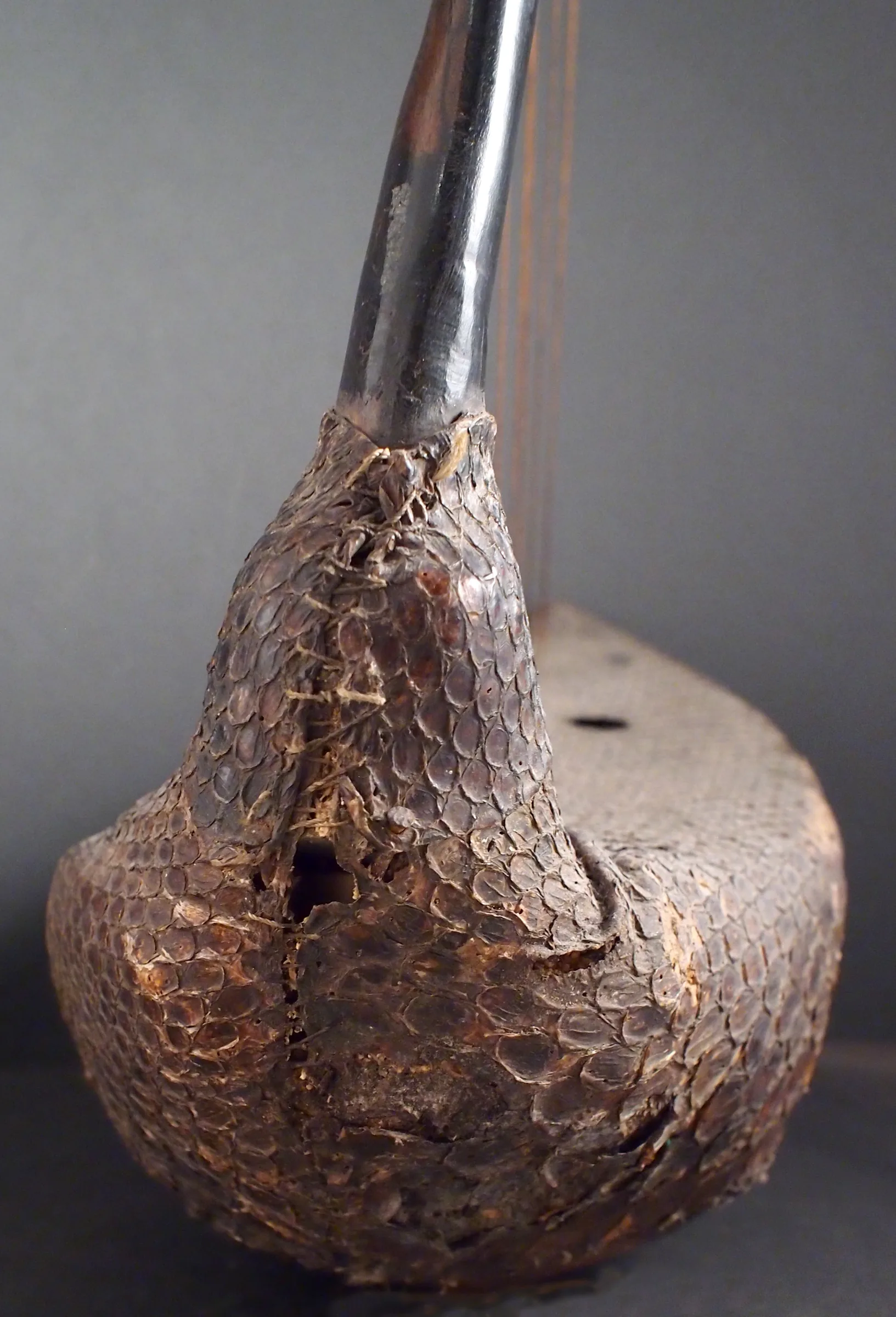 Détail de harpe ancienne à cordes Détail de harpe ancienne à cordes