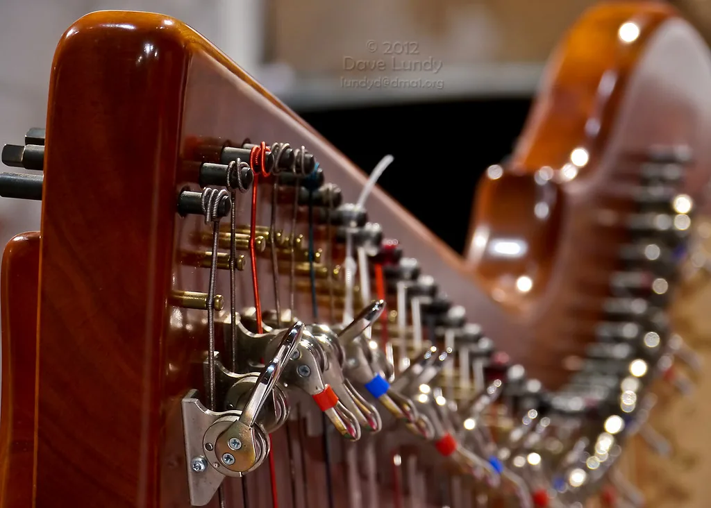 Camac Celtic Harp: Is This Brand Worth It?