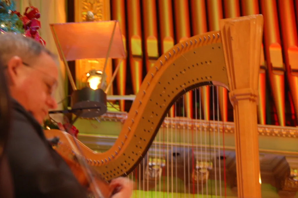 Which harp should you choose as a beginner?
