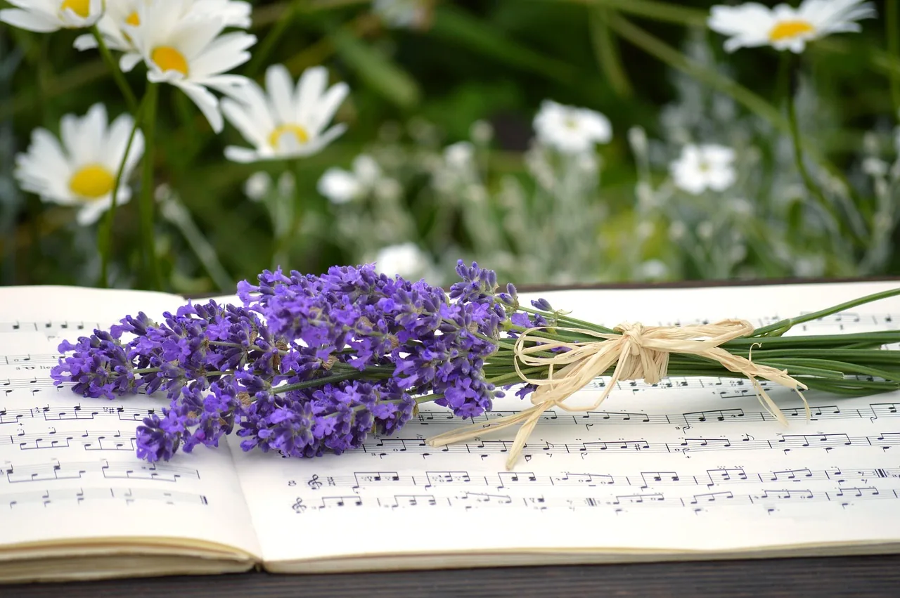 Partition musicale fleurs lavande ambiance cours